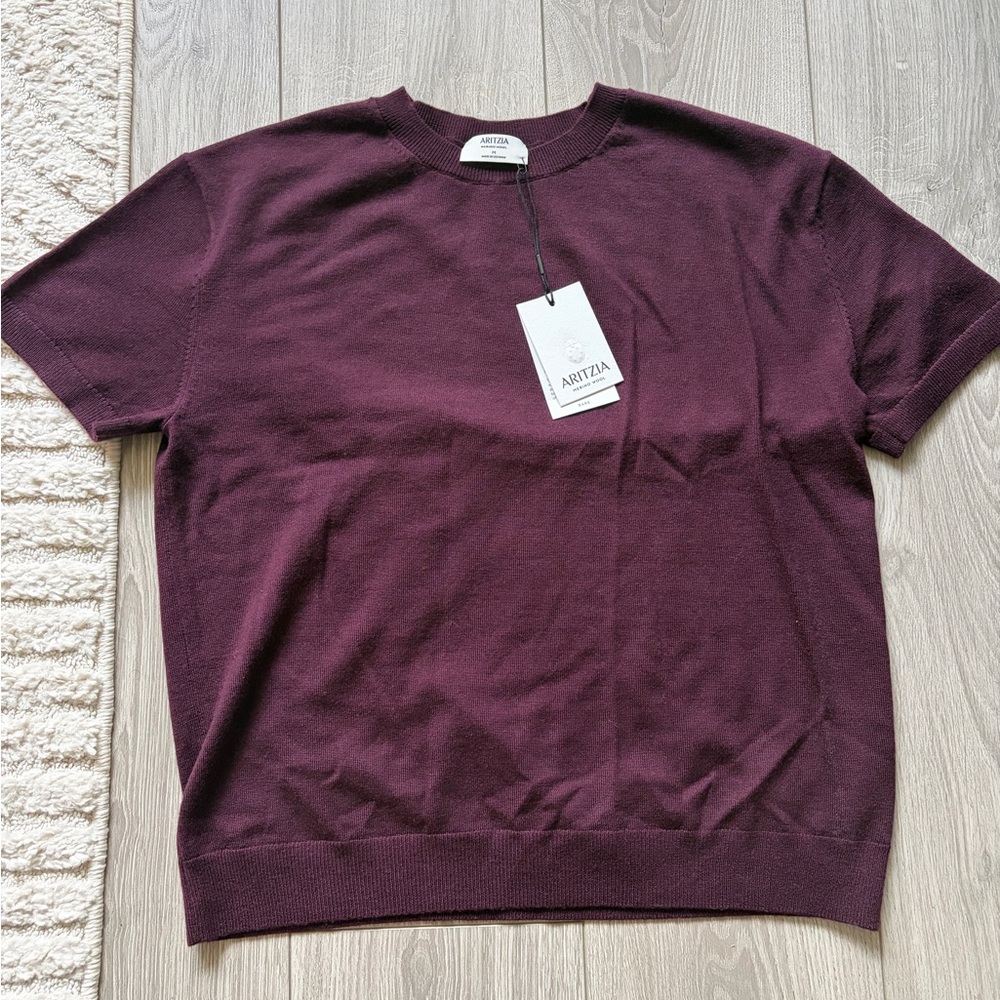 Aritzia Bare Merino Wool Crew T-Shirt